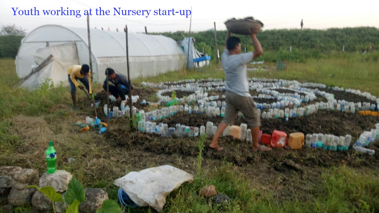 Nursery landscape